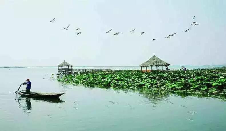 良仁正品阳澄湖大闸蟹