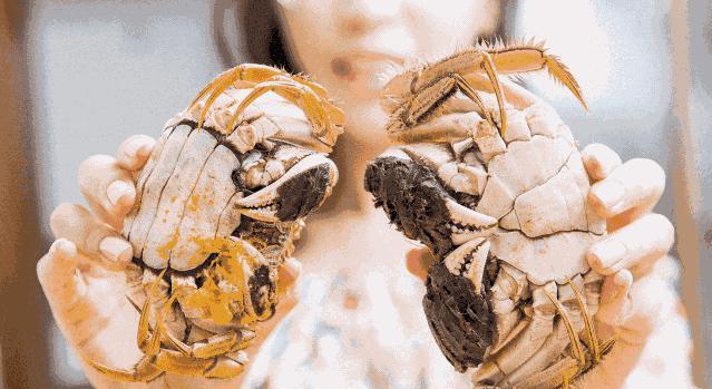 良仁正品阳澄湖大闸蟹