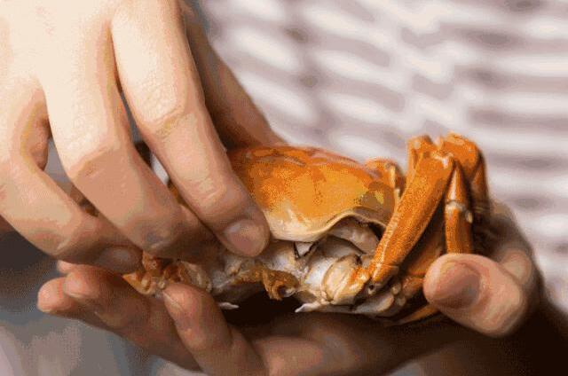 良仁正品阳澄湖大闸蟹